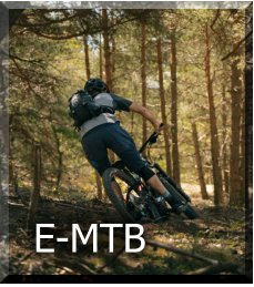 E-MTB